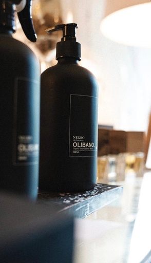 Home Spray NGO Olibano