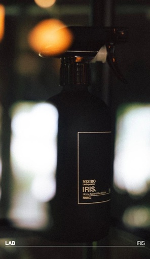 Home Spray NGO Iris